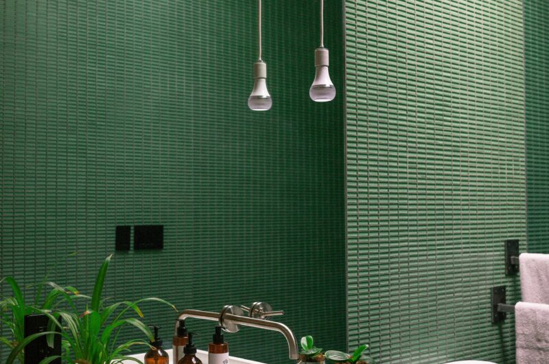 rośliny w łazience bez okna